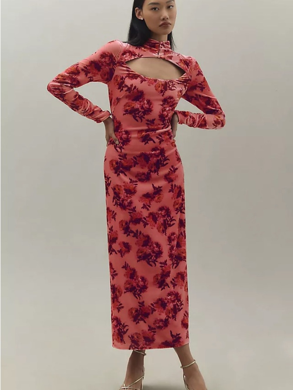 BHLDN Pink Floral Cutout Velvet Long Sleeve Maxi Dress